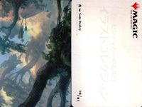 MTG Magic Gathering Art Card Lot Japanese サムネイル 3