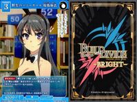 カード まとめ 青春ブタ野郎 ビルディバイド R レア 野生のバニーガール 桜島麻衣 友達と一緒に 豊浜のどか 足された目標 梓川かえで 夏休みスタイル 古賀朋絵 十二月二十四日、午後六時 初恋少女の夢 牧之原翔子 変わった未来 「桜島麻衣」 サムネイル 2