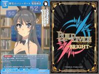カード まとめ 青春ブタ野郎 ビルディバイド R レア 往来の目撃者 静かな迫力 桜島麻衣 進むべき路 梓川花楓 アレンジスタイル 単純な世界 双葉理央 友達と一緒に 豊浜のどか 足された目標 梓川かえで 野生のバニーガール 十二月二十四日 サムネイル 9