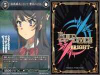 カード まとめ 青春ブタ野郎 ビルディバイド R レア アレンジスタイル 桜島麻衣 淡く過ぎた世界で 梓川咲太 進むべき路 梓川花楓 初恋少女の夢 牧之原翔子 始まりの日記 豊浜のどか 変わった未来 笑顔になれる記憶 梓川かえで サムネイル 8