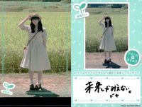 カード まとめ アオハルあまねす R VACC-09 HL-072-N HL-069-R HL-077-N MM-096-N VACC-01 MU-054-R MM-088-N MM-089-N MM-091-N サムネイル 7