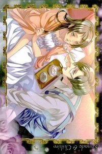 カード 黒と金の開かない鍵 4 限定 限定版 フロンティアワークス 恋愛ゲーム