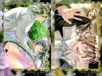 Kuro to Kin no Akani Nai Kagi Otome Game Card Lot
