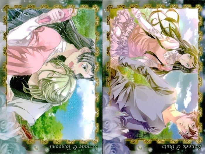 カード 黒と金の開かない鍵 まとめ 7 8 限定 限定版 フロンティアワークス 恋愛ゲーム