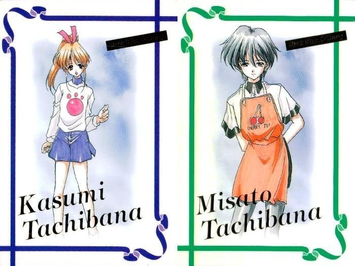 カード ファーストKISS物語 R レア まとめ 29 30 橘美里(たちばな みさと) 橘香澄(たちばな かすみ) 箔押し ファーストキス物語 ストーリー 初版