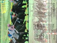 東京優駿 競馬 馬 カード トウカイテイオー CT-03 ホロ キラ レア 優勝馬ウイニング 日本ダービー bp435 o20 サムネイル 2