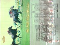 東京優駿 競馬 馬 カード ウイナーズサークル CT-01 ホロ キラ レア 優勝馬ウイニング 日本ダービー bp435 o20 サムネイル 2