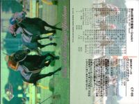 東京優駿 競馬 馬 カード ウイニングチケット CT-05 ホロ キラ レア 優勝馬ウイニング 日本ダービー bp435 o20 サムネイル 2