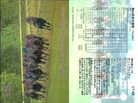 東京優駿 競馬 馬 カード サニーブライアン CT-09 ホロ キラ レア 優勝馬ウイニング 日本ダービー bp435 o20 サムネイル 2