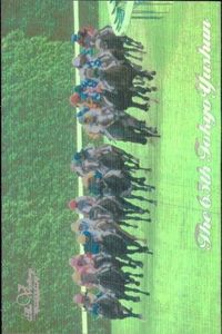東京優駿 競馬 馬 カード スペシャルウィーク CT-10 ホロ キラ レア 優勝馬ウイニング 日本ダービー bp435 o20 サムネイル 1
