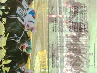 東京優駿 競馬 馬 カード ウイナーズサークル トウカイテイオー ナリタブライアン スペシャルウィーク CT 1 3 6 10 まとめ ホロ キラ レア 優勝馬ウイニング 日本ダービー bp435 o20 サムネイル 3