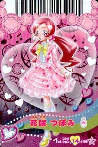 Precure Data Carddass 14/46 Tsutsuji Kira Holo 1st Edition
