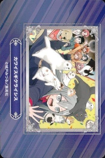 カード カワイスギクライシス 遠山えま ジャンプフェア 2024 アニメイト 非売品 集英社