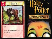 ハリーポッター カードゲーム まとめ アビフォアス 根生え術 ハグリッドと見知らぬ男 インカーシフォア ハグリッドと見知らぬ男 ボービリアス くねくねペン くねくねペン 薬問屋 74 116 68 93 89 75 105 41 サムネイル 3