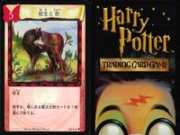 ハリーポッター カードゲーム まとめ アビフォアス エポキシマイズ エポキシマイズ インカーシフォア 変身術 くねくねペン 鉄の爪 消えたガラス 根生え術 74 116 82 105 106 71 68 サムネイル 10