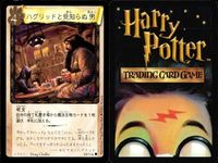 ハリーポッター カードゲーム まとめ ボービリアス 宿題 アッチオ コンファンダス かけそこないの魔法 ハグリッドと見知らぬ男 かけそこないの魔法 バーミリアス バーミリアス サムネイル 7