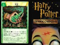ハリーポッター カードゲーム まとめ ビタールートの痛み止め アッチオ くしゃみ薬 スネイプの質問 毒薬 ハグリッドと見知らぬ男 不思議な卵 45 116 73 66 96 サムネイル 8