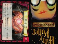 ハリーポッター カードゲーム まとめ 2 魔法生物のかご スネイプにみつかるな アドベンチャー 5 自分のターンに、捨てて札置き場からレッスンカードを1枚引く 変身術 妖精の魔法 サムネイル 5