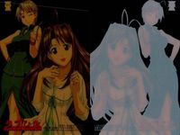 ラブひな まとめ クリア R レア 1 2 3 ブロッコリー ハイブリッド・カード・コレクション 講談社 赤松健 サムネイル 4