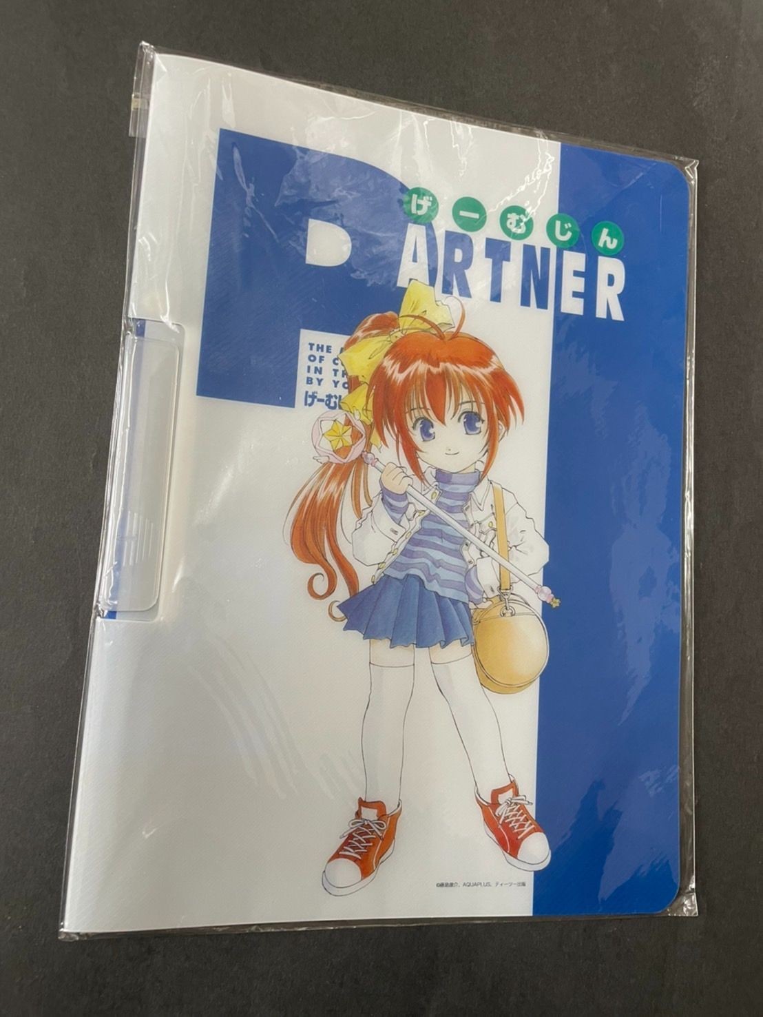 こみっくパーティー げーむじんパートナー ティーツー出版 クイックファイル 藤島康介 げーむじんPARTNER ファイル o14