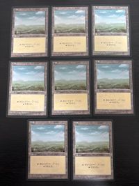 日黒 日本語 黒枠 基本土地 平地/Plains 8枚 型番統ー 日本語 JP まとめ MTG 基本土地 人気絵柄 旧枠