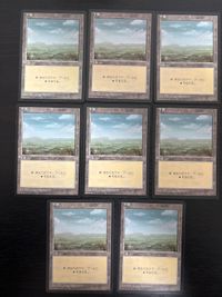日黒 日本語 黒枠 基本土地 平地/Plains 8枚 型番統ー 日本語 JP まとめ MTG 基本土地 人気絵柄 旧枠