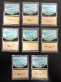 日黒 日本語 黒枠 基本土地 平地/Plains 8枚 型番統ー 日本語 JP まとめ MTG 基本土地 人気絵柄 旧枠