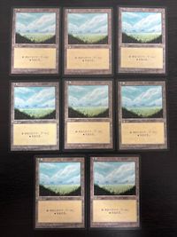 MTG Magic The Gathering Plains Basic Land 8 Japanese Old