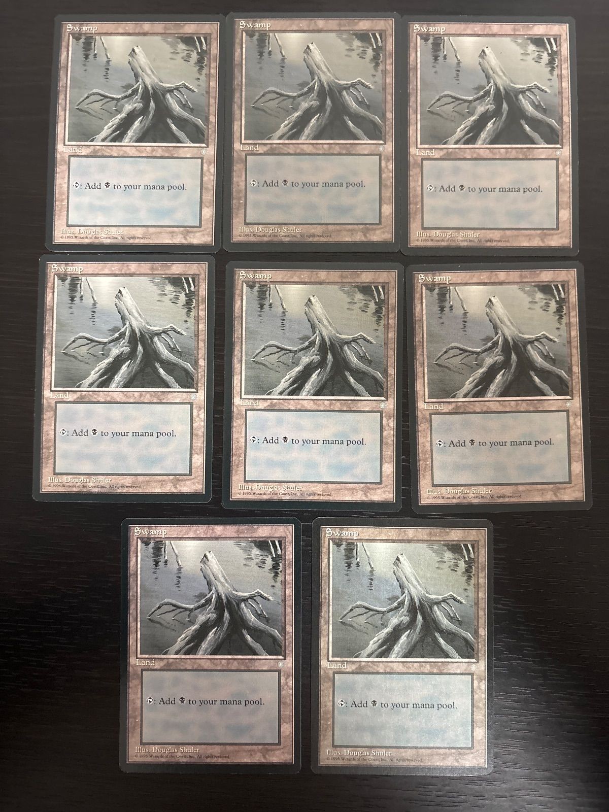 沼/Swamp アイスエイジ 8枚 型番統ー まとめ 人気絵柄 基本土地 大量 ICE 英語版 EN MTG