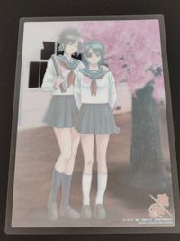 柳生九兵衛 志村妙 / セーラー服 銀魂 クリアプレート カード B.I.G ジャンボカードダス EX クリアコレクション サムネイル 2