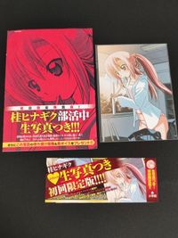 桂ヒナギク 部活中生写真 ブロマイド ハヤテのごとく