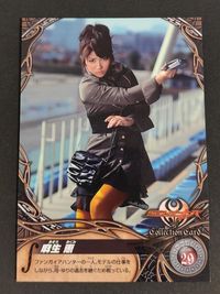 仮面ライダーキバ エンスカイ カード 麻生恵 柳沢なな サムネイル 1
