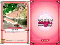ネギま！ まとめ 早乙女ハルナ／桜咲刹那／桜咲刹那／鳴滝史伽／和泉亜子／古菲／楓・見参／春日美空／綾瀬夕映 ネギま カードゲーム サムネイル 9