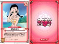 ネギま！ まとめ 雪広あやか 葉加瀬聡美 佐々木まき絵 春日美空 宮崎のどか 柿崎美砂 近衛木乃香 元気になる注射 椎名桜子 N3-32 N3-28 N3-18 N3-08 N3-30 N3-04 N3-14 N3-37 ネギま カードゲーム サムネイル 3