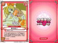 ネギま！ まとめ 大河内アキラ 椎名桜子 鳴滝風香 早乙女ハルナ 佐々木まき絵 神楽坂明日菜 桜咲刹那 相坂さよ NY-06 N3-20 NY-22 N2-17 N1-17 N1-07 N1-15 N1-01 ネギま カードゲーム サムネイル 3