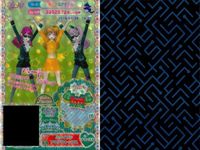 プリパラ プリチケ R レア まとめ さらりんバタフライ ワンピース R さらりんバタフライ シューズ R ハワイアン アロアロトップス R ハワイアン アロアロスカート R ハワイアン アロアロシ カード サムネイル 4