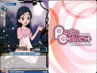 カード プリズムコネクト プリキュアMH 雪城ほのか キュアホワイト ミップル 9枚セット サムネイル 2