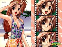 Piaキャロットへようこそ Piaキャロ トレカ 9枚セット 水着・ダイビング・私服 No.024-093 サムネイル 5