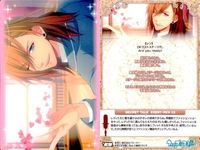 うたプリ マジLOVE トレカ ソロショット 9枚セット スタリ まとめ サムネイル 10