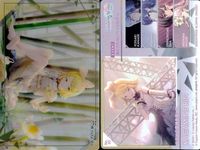 プロセカ ウエハース 鏡音リン ニーゴ 小豆沢こはね ビビバス 4枚セット まとめ まとめ カード サムネイル 3