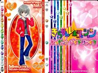 きらりんレボリューション カード まとめ売り なーさん SHIPS プロモ きらレボ まとめ カード サムネイル 3