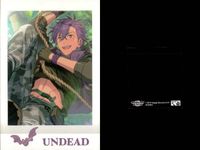 あんスタ ぱしゃこれ セット 箔押しサイン有 晃牙 泉 司 UNDEAD まとめ カード サムネイル 10