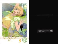 あんスタ ぱしゃこれ Switch 春川宙 仁兎なずな 箔押し入 まとめ売り まとめ カード サムネイル 10
