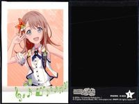プロセカ ぱしゃこれ まとめ売り 初音ミク 奏 一歌 みのり ニーゴ レオニ まとめ カード サムネイル 9