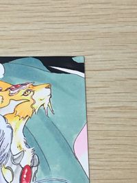 Cardcaptor Sakura Card Yue Kerberos 60th Anniversary サムネイル 5