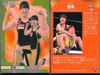 BBM 2020 女子プロレス 愛海 124 センダイガールズ 仙女 トレカ カード まとめ サムネイル 2