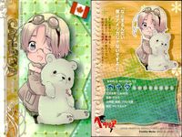 ヘタリア トレカ NO.33 カナダ クマ二郎 APH Axis Powers カード サムネイル 2