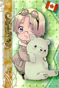 ヘタリア トレカ NO.33 カナダ クマ二郎 APH Axis Powers カード