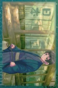 ヘタリア カード No.53 日本 本田菊 APH トレカ カード