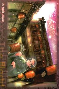 ヘタリア カード No.52 中国 王耀 パンダ APH トレカ カード